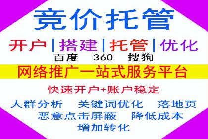 百度竞价SEM案例研究：提升转化率的关键策略